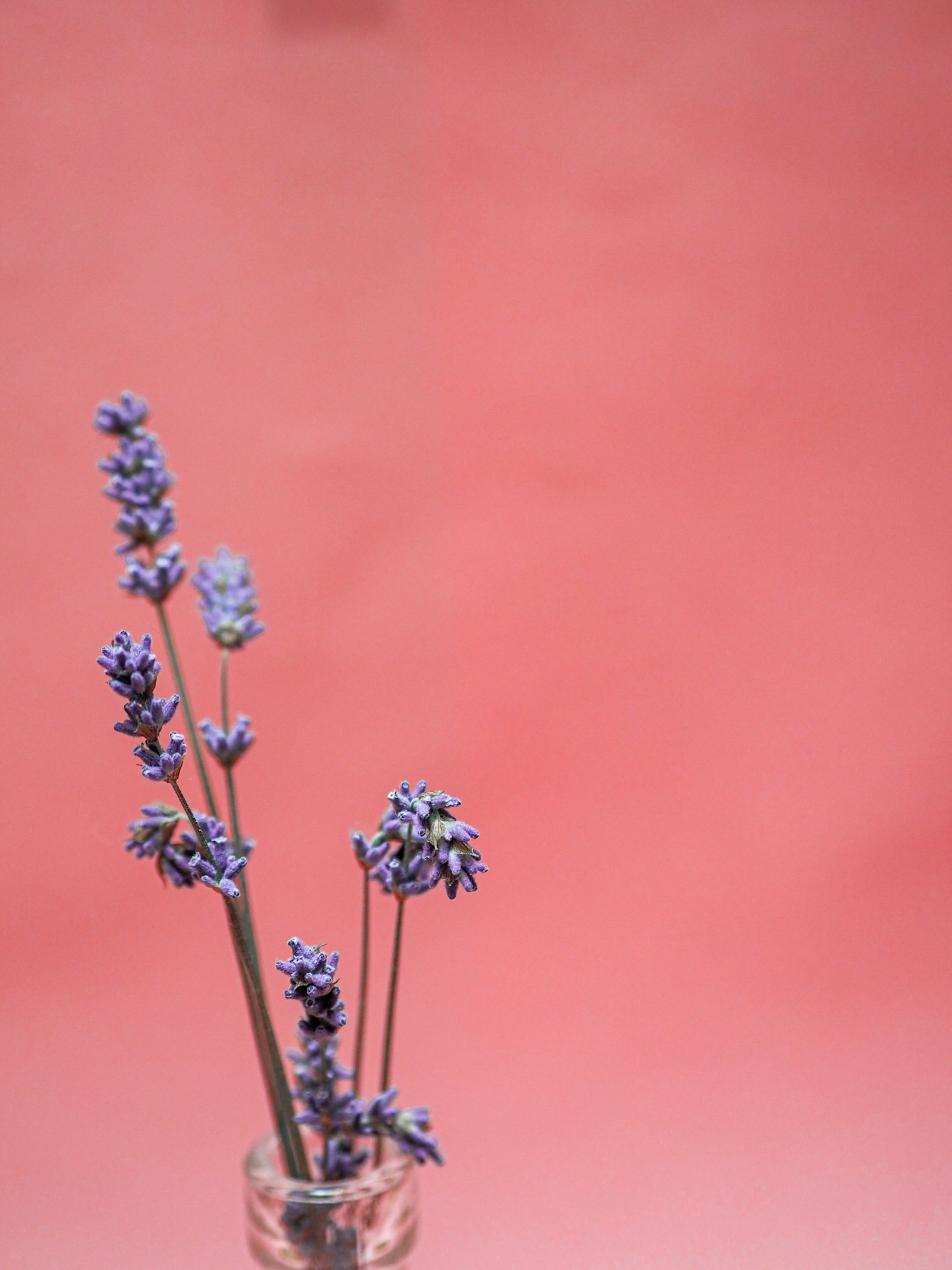 Balancing Professional and Personal Creativity